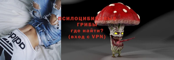 не бодяженный Алексин