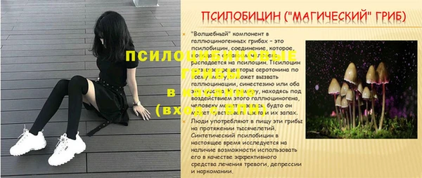 амфетамин Алексеевка
