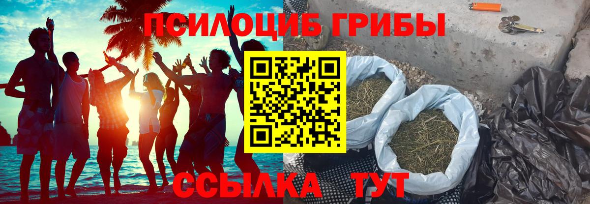 Качканар  Галлюциногенные грибы MAGIC MUSHROOMS  Вход с VPN 