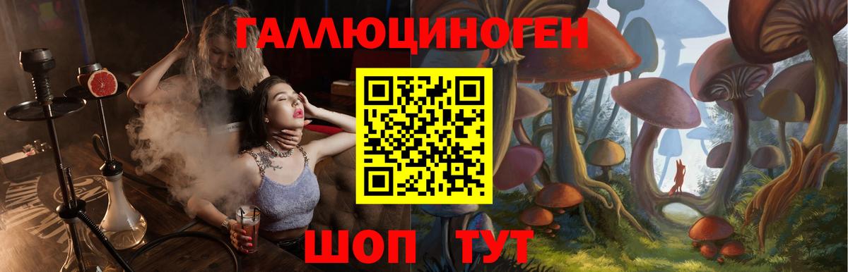 Псилоцибиновые грибы прущие грибы Качканар